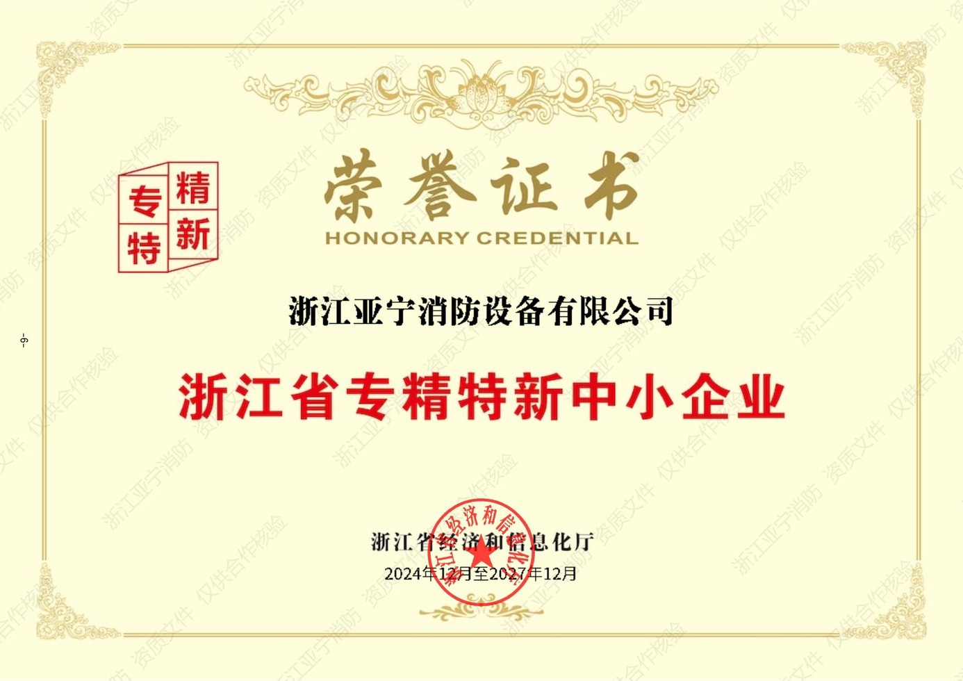 浙江省专精特新中小企业