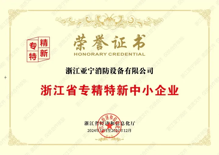 浙江省专精特新中小企业