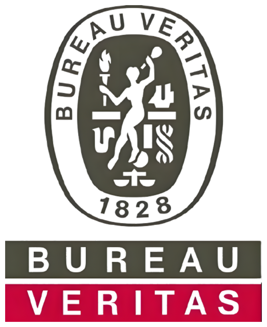 BV 法国船级社 BV